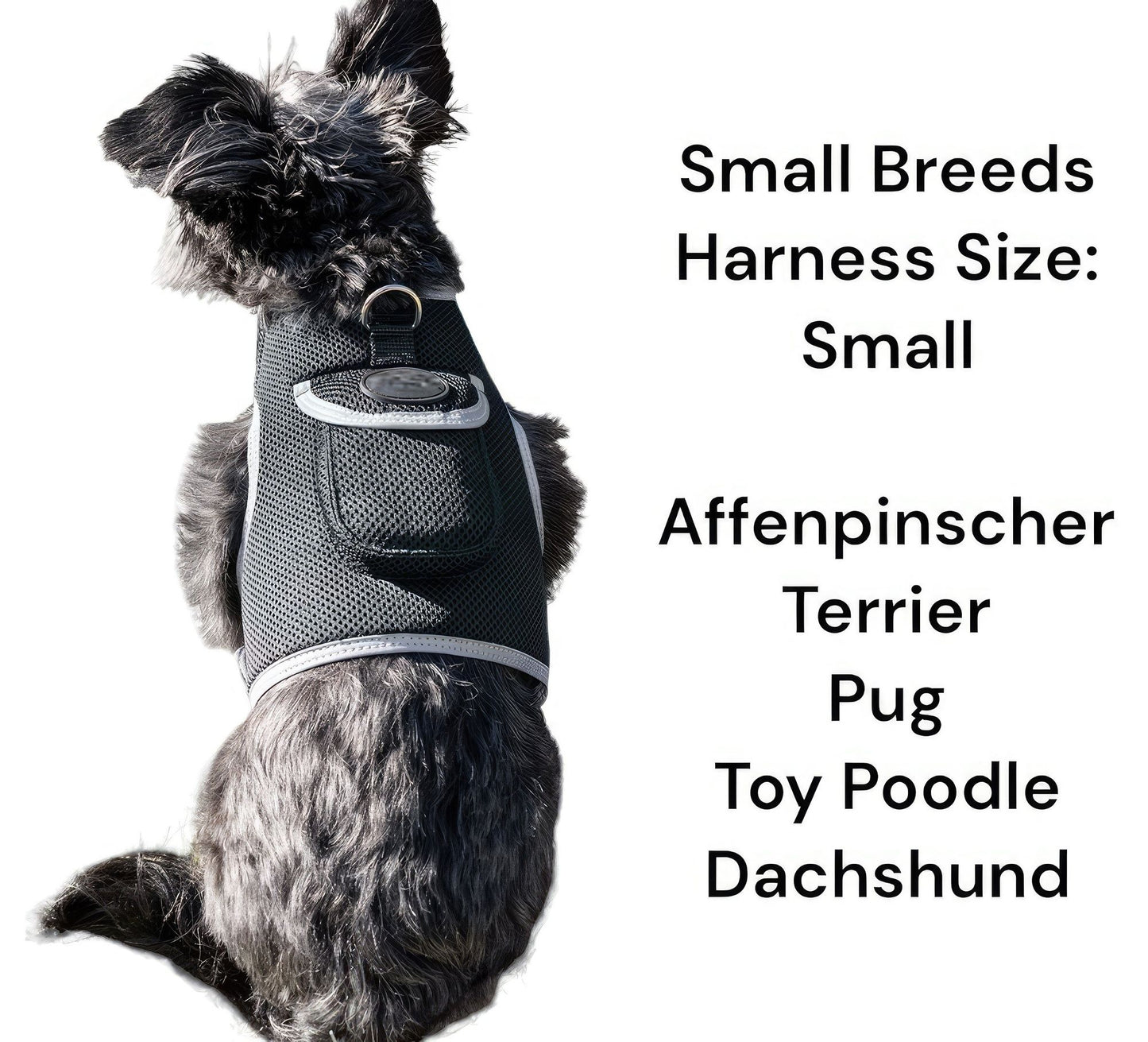 Purrfect Pet Kingdom Reflective Dog Harness for Safety Purrfect Pet Kingdom
