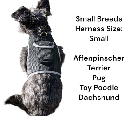 Purrfect Pet Kingdom Reflective Dog Harness for Safety Purrfect Pet Kingdom