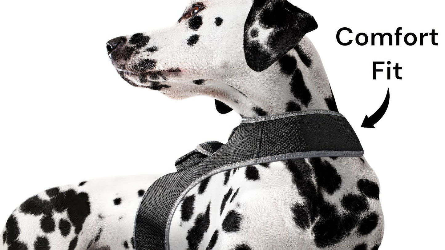 Purrfect Pet Kingdom Reflective Dog Harness for Safety Purrfect Pet Kingdom