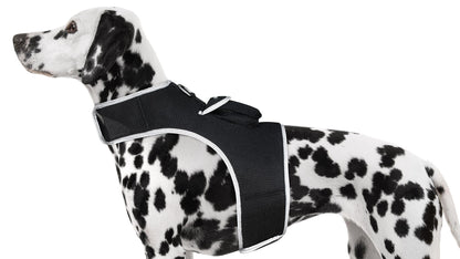 Purrfect Pet Kingdom Reflective Dog Harness for Safety Purrfect Pet Kingdom