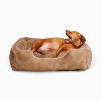 The Sammy Bolster Dog Bed