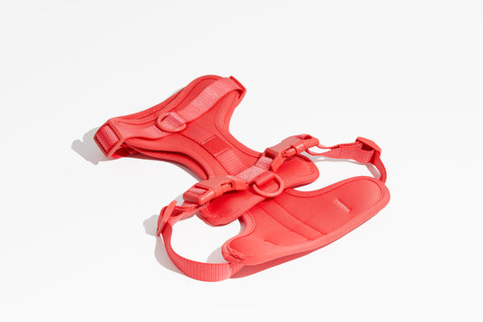 Luxe Harness - Poppy - Luxe Harness - Pawmigo - S - LUXE - HRN - POP - S