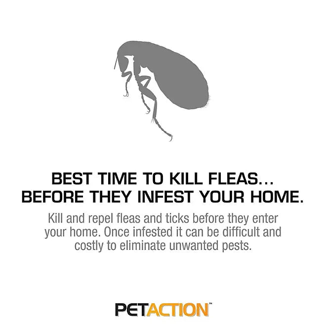 PetAction Pro Flea & Tick Treatment for Cats & Kittens - Purrfect Pet Kingdom