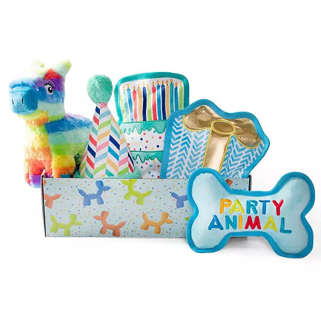 Party Animal Birthday Dog Toy Box