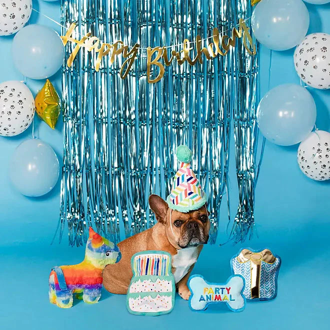Party Animal Birthday Dog Toy Box