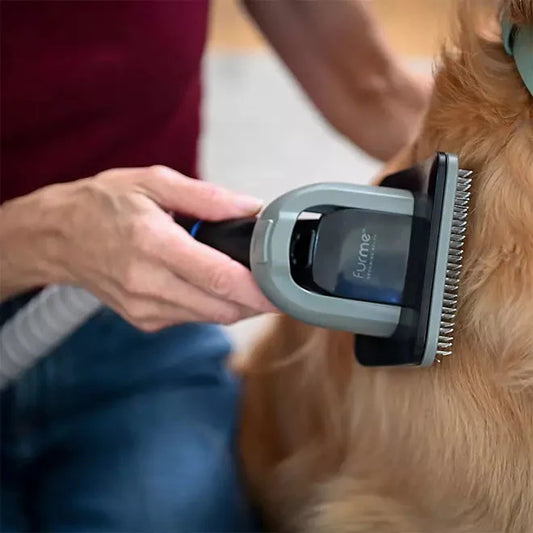 furMe Pet Grooming Vacuum Kit - Purrfect Pet Kingdom