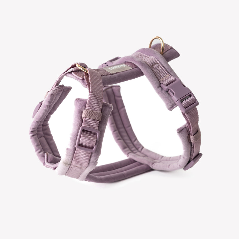 Lilac - Velvet Dog Harness - Purrfect Pet Kingdom