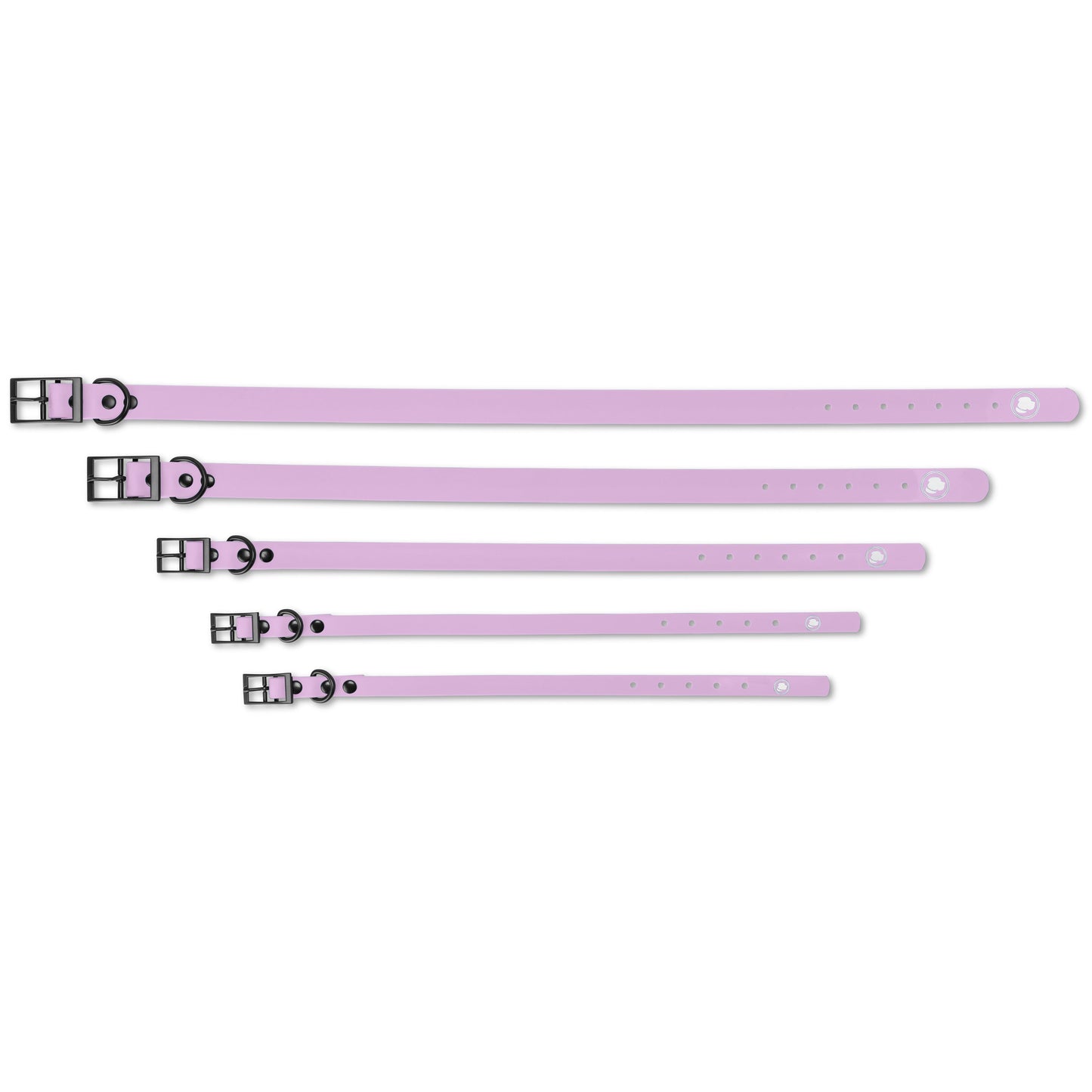 Dog Collar Collar Blush Pink Essen Adjustable Walking Collar - lifestyle product image for dog collar
