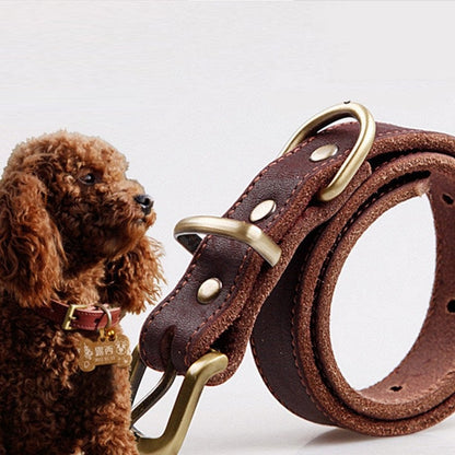 Small And Medium Sized Dog Cowhide Pet Collar