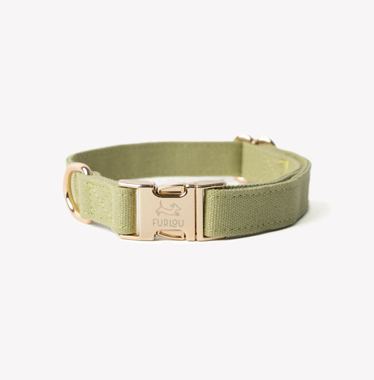 Dog Collar Canvas Green Soft 💚