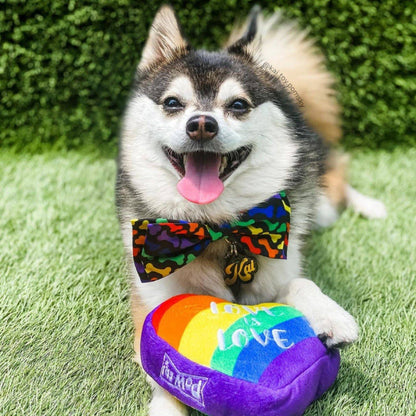 Rainbow Unity Pet Bow Tie - 3 Sizes
