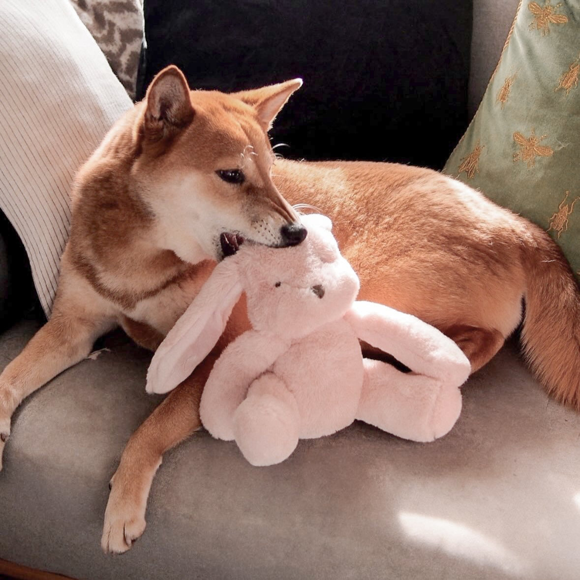 Ruby Maxi Plushie - Pet Toy - Elise Galleria