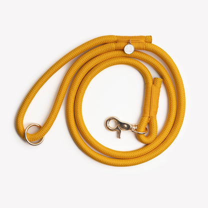 Purrfect Pet Kingdom Yellow' - Braided Rope Leash (Default Title) - Premium Dog Leashes