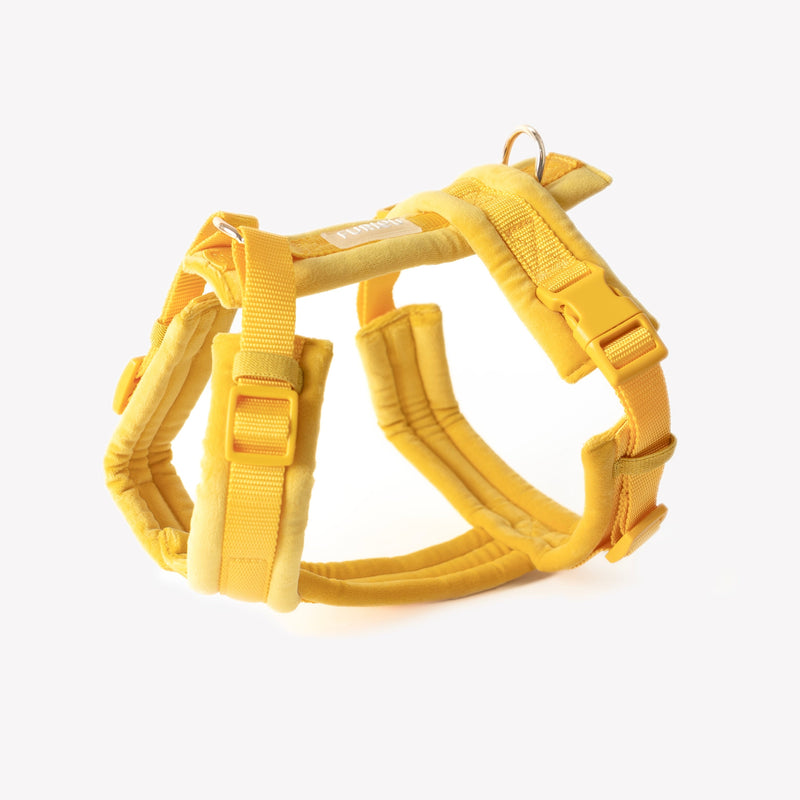 Yellow - Velvet Dog Harness - Purrfect Pet Kingdom