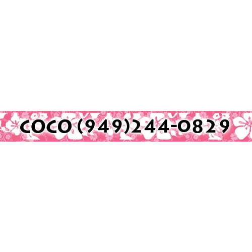 Personalized Island Floral Pink Dog Collar