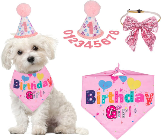 Dog Birthday Party Supplies Boy Girl Dog Birthday Hat With