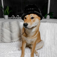 Furi Pet Hat - Noir