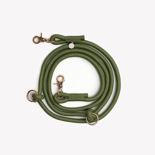 'Green' - Hands Free Braided Leash - Purrfect Pet Kingdom