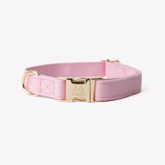Dog Collar Canvas Pink Soft 🩷