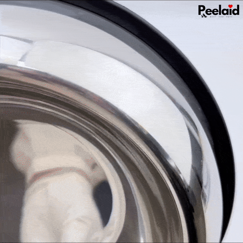 Peelaid™ Premium Stainless Steel Pet Bowl