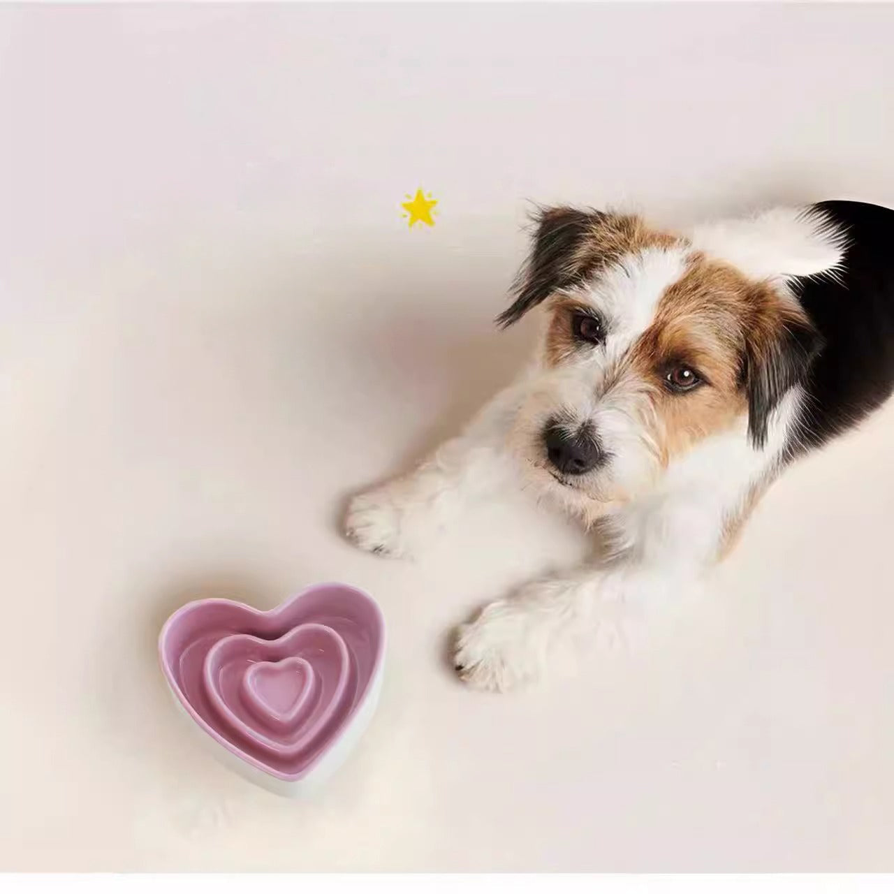 Ceramic Slow Food Bowl For Small And Medium Dogs Slow