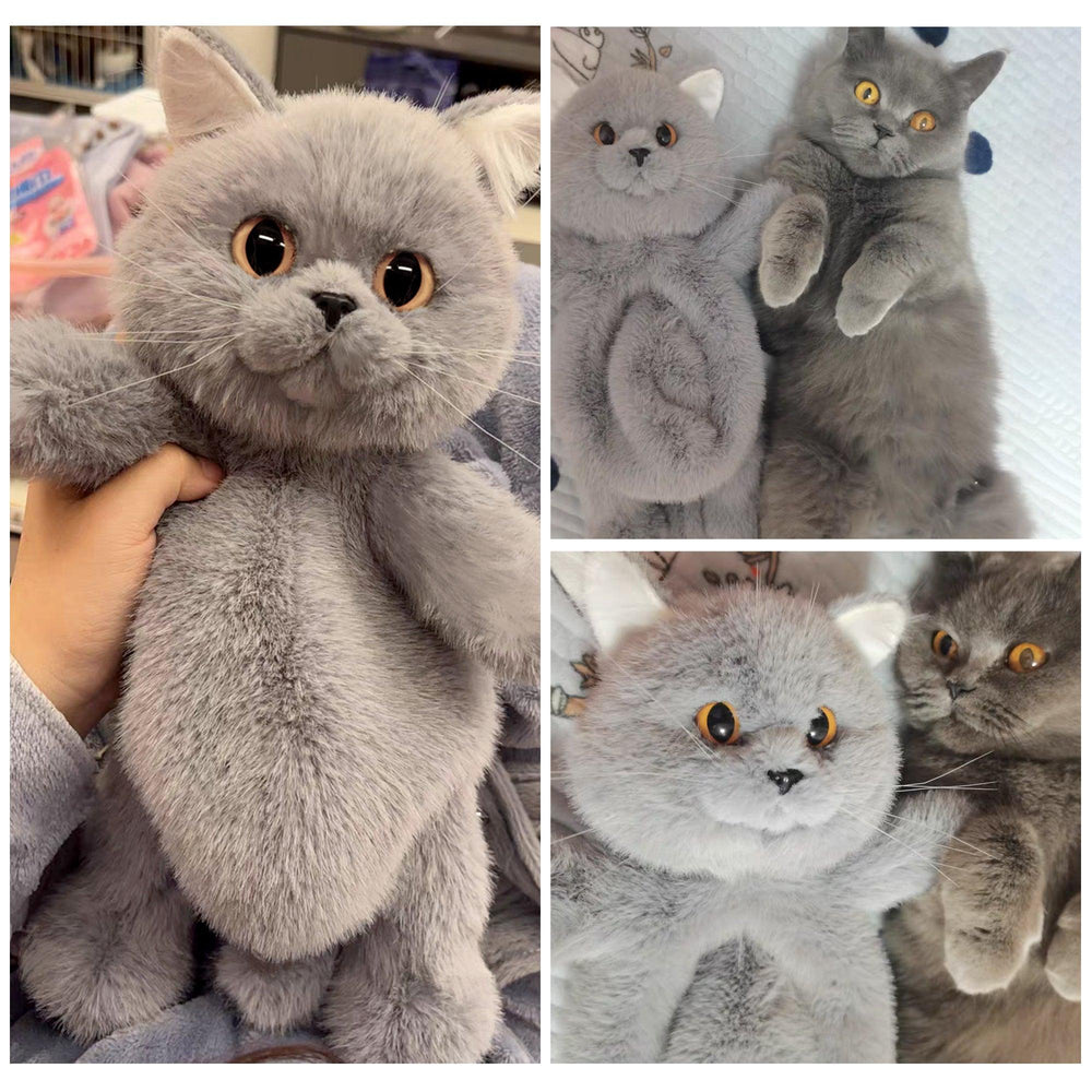 Russian Blue Cat Backpack ? Cat Lover?s Daily Bag