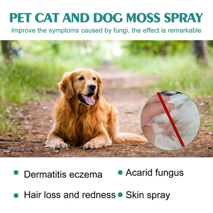Pet Skin Medicine Spray, Cats And Dogs To Remove Mite Skin