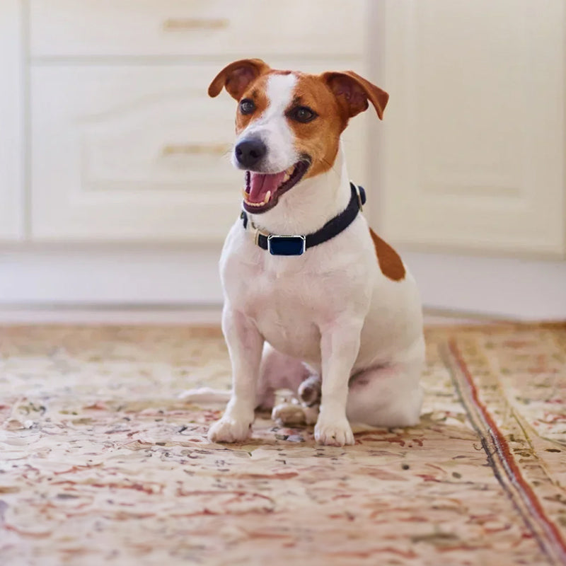 G12 Smart GPS pet tracker: Mini, waterproof, anti - loss collar for dogs & cats
