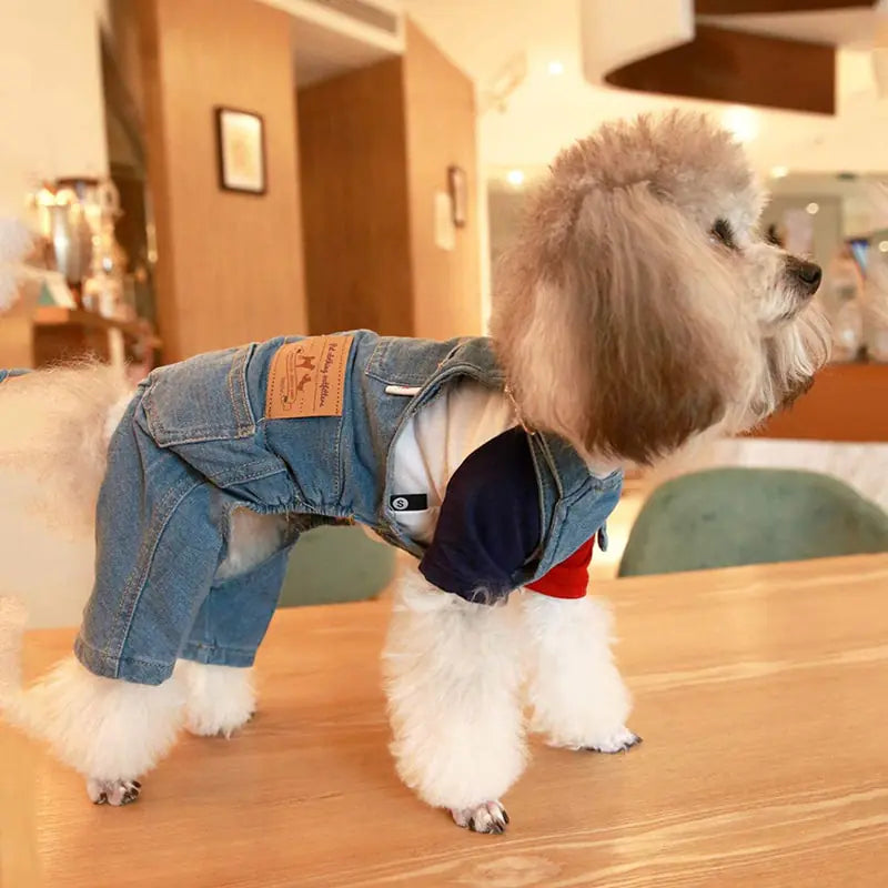 Denim Pet Dog Clothes Jumpsuits - Mimarta