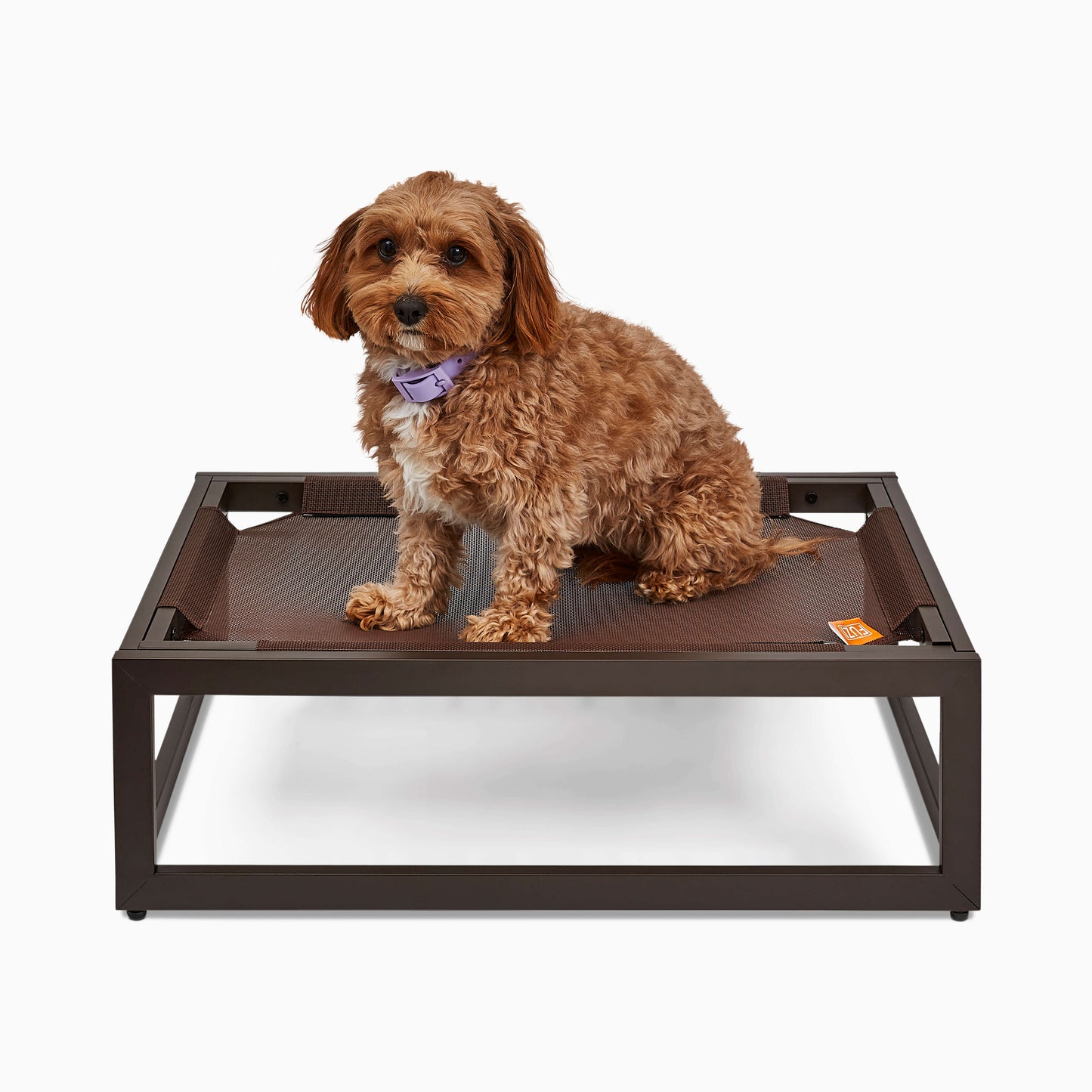 The Up Pup Dog Bed