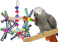 Wide Parrot Toy