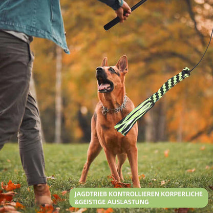 Telescopic Stick Dog Teasing Rod Toy Pet