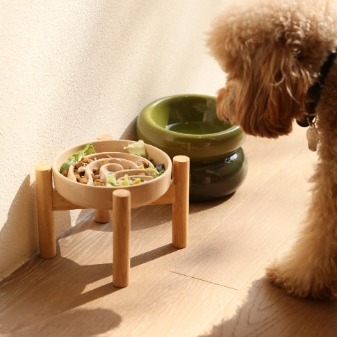 Purrfect Kingdom™ - Essential Daily Pet Feeding Bowl