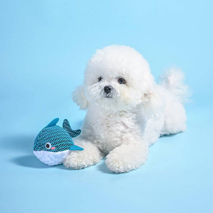 Ocean Pals Blue Dolphin Ball Dog Toy