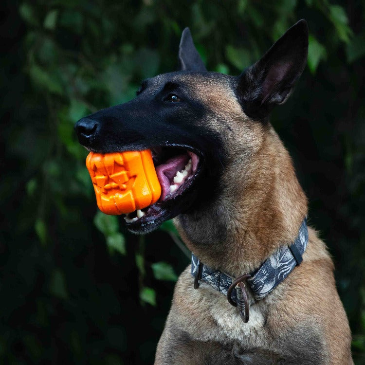 Jack O Lantern Dog Toy - Durable Halloween Chew Toy for Large
