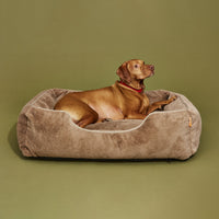 The Sammy Bolster Dog Bed