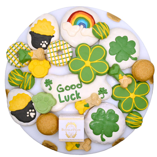 Good Luck Themed Dog Treats Gift Box - Purrfect Pet Kingdom