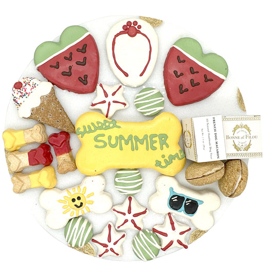Summer Themed Dog Treats Gift Box - Purrfect Pet Kingdom