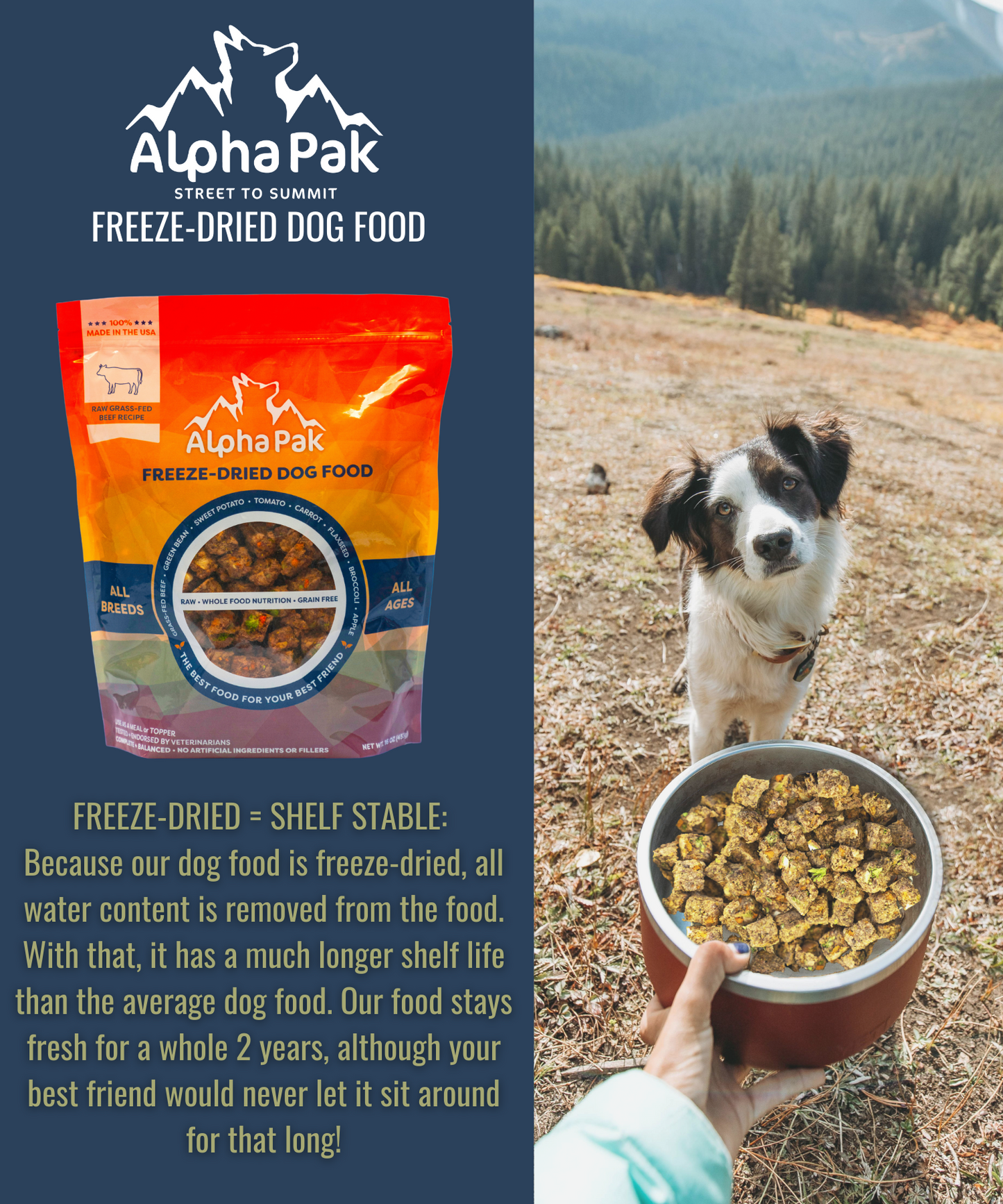 Dog Food Freeze Dried Raw Beef 16oz Premium 👑