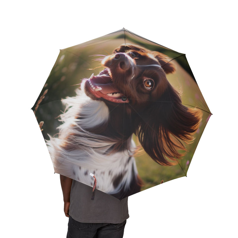 Small Munsterlander Semi-Automatic Foldable Umbrella
