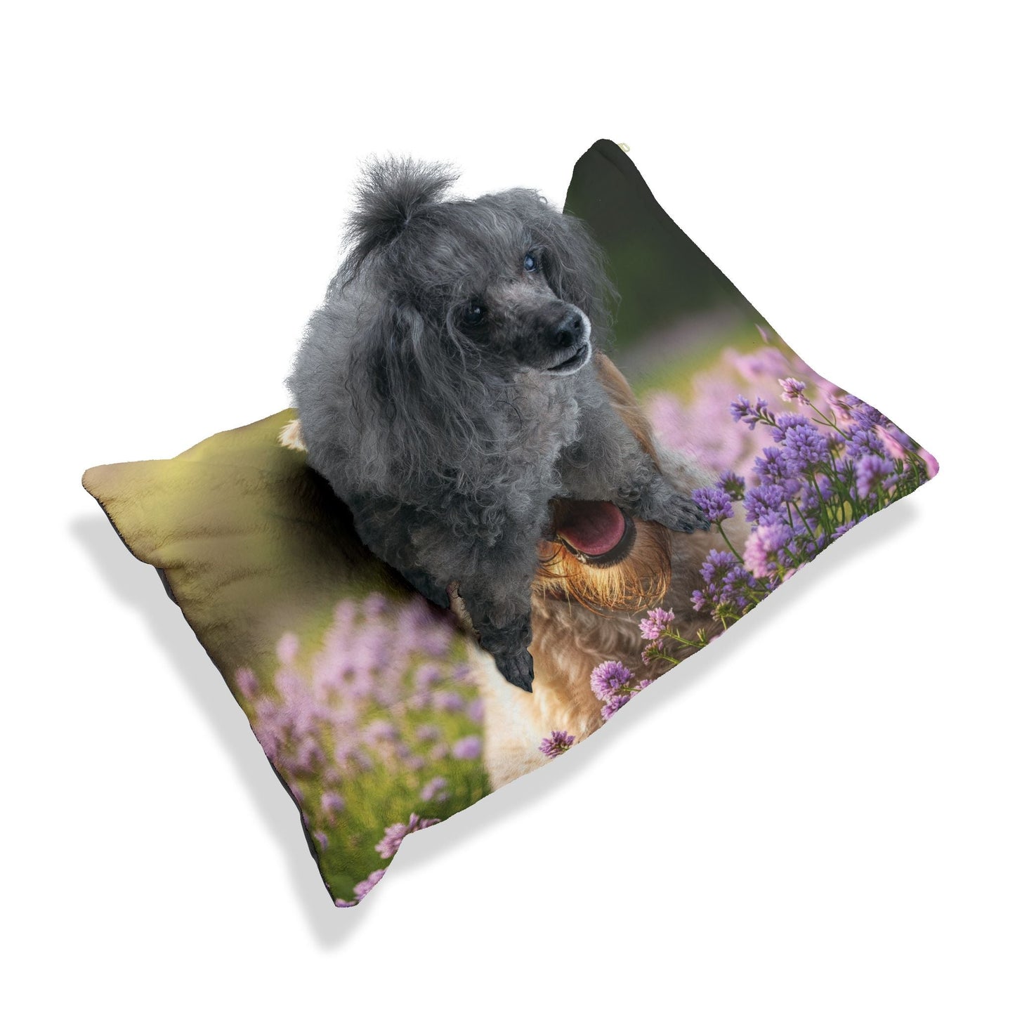 Soft Coated Wheaten Terrier Pet Bed