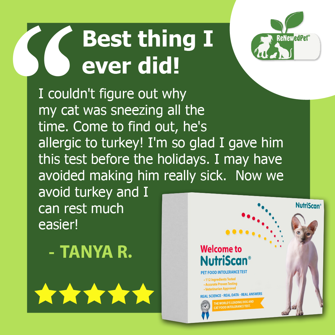 CAT FOOD ALLERGY / SENSITIVITY TEST! - Health Products 4 All - ReNewedPet