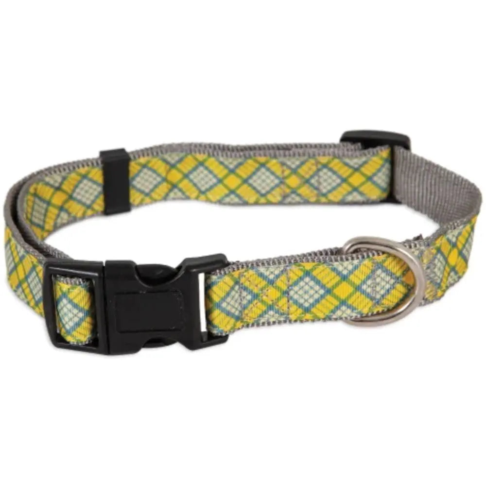 Aspen pet dog collar - Purrfect Pet Kingdom