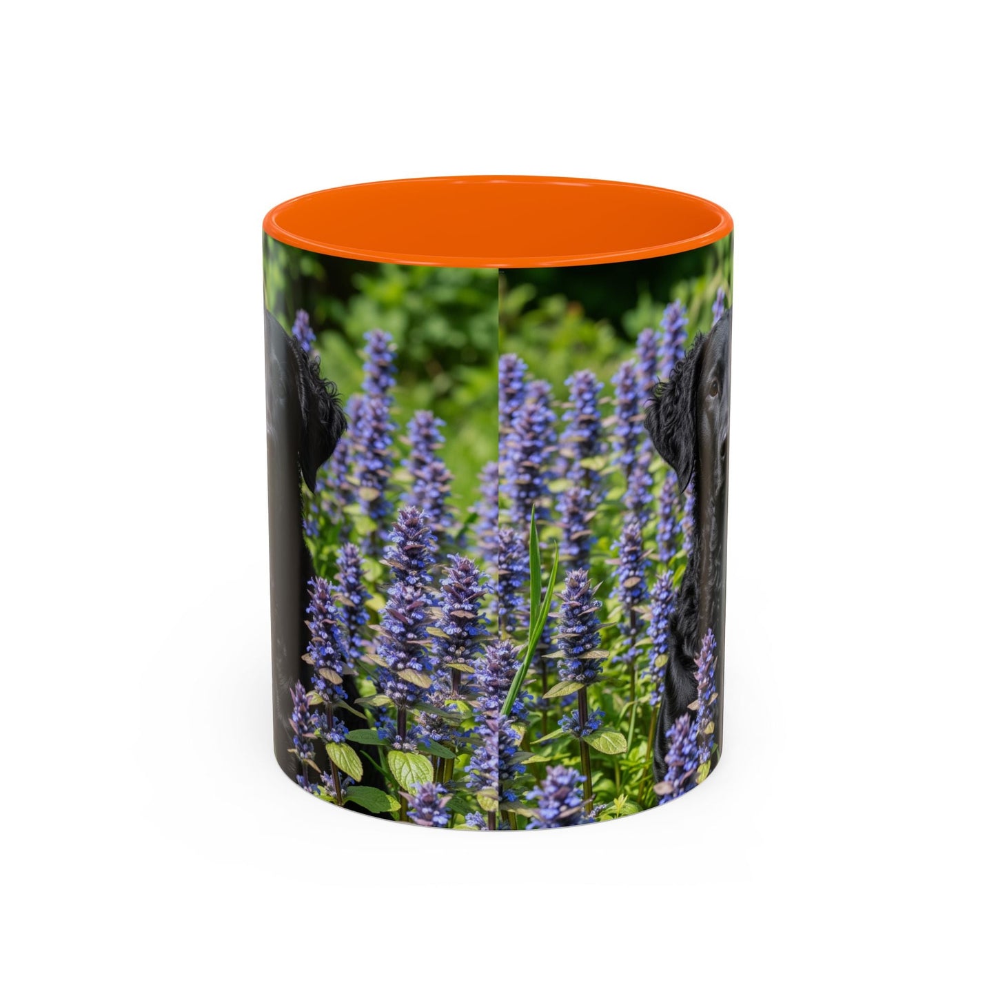 Curly Coated Retriever Accent Coffee Mug - Perfect Gift for