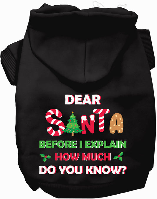 Santa, How Much Do You Know? Christmas Pet Hoodie