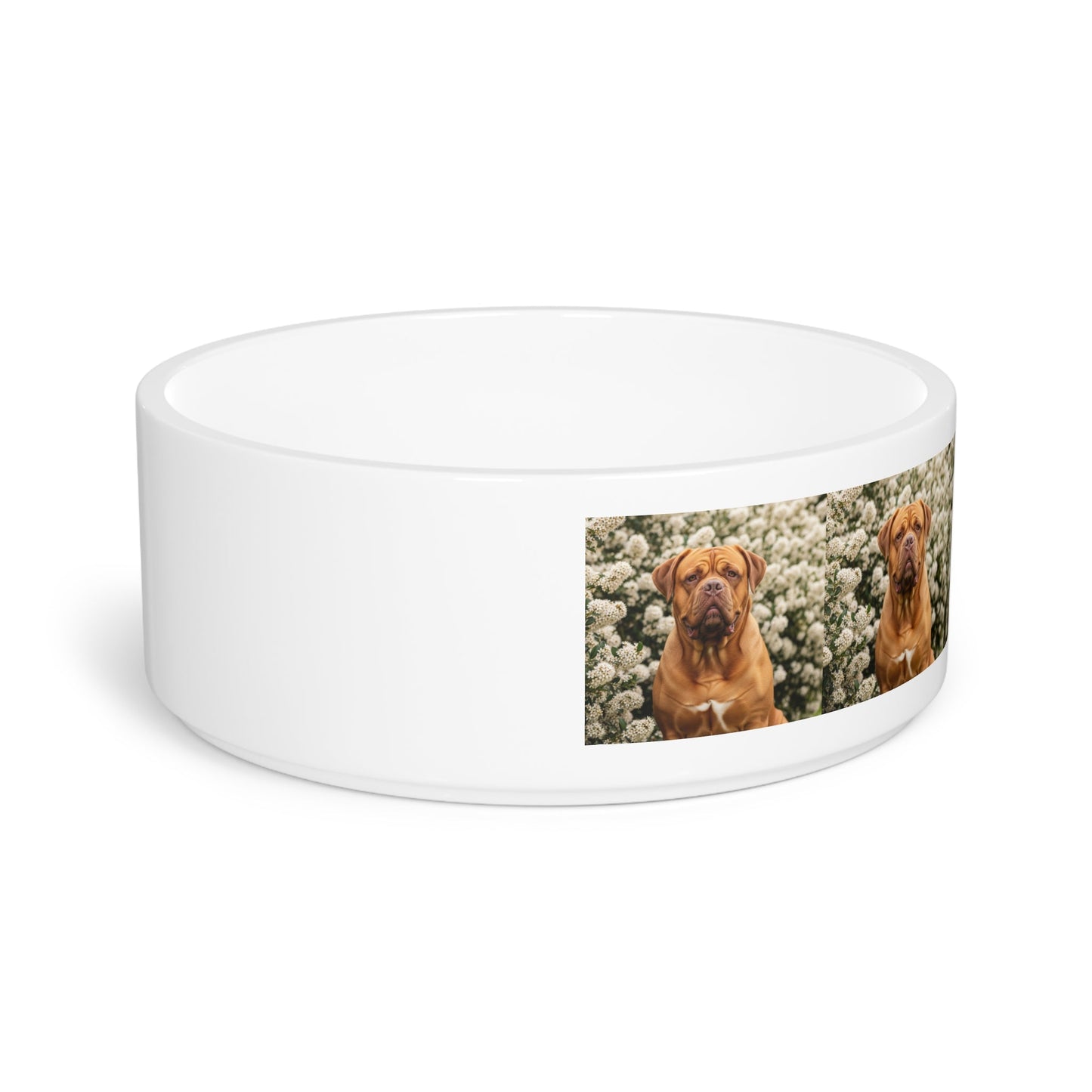 Dogue de Bordeaux Pet Bowl