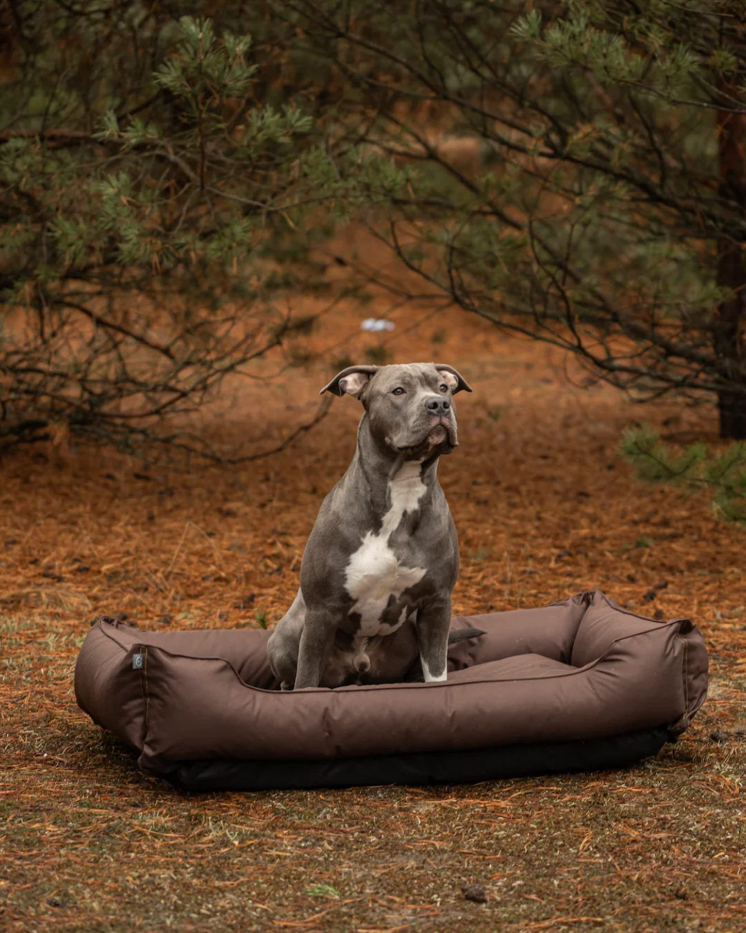 Luxury Dog Bed Waterproof Sleeper Brown for Comfort, Support - luxury dog bed view 3 for comfort and support