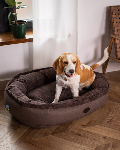 Chester & Lee | Cuddly Bagel Dog Bed