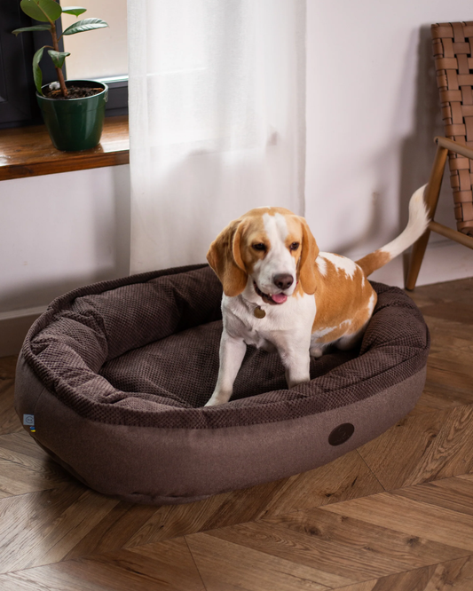 Chester & Lee | Cuddly Bagel Dog Bed
