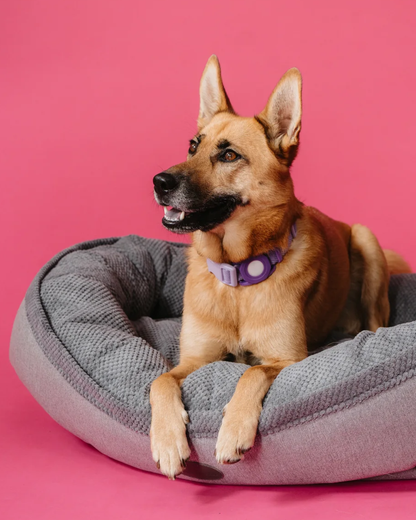 Chester & Lee Plush Furry Bagel Dog Bed for Calming Comfort
